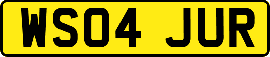 WS04JUR