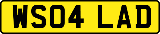 WS04LAD