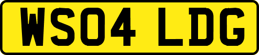 WS04LDG