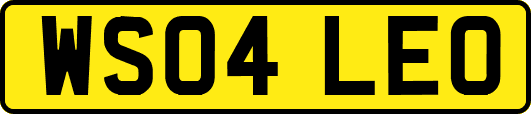 WS04LEO