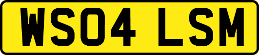 WS04LSM