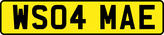 WS04MAE