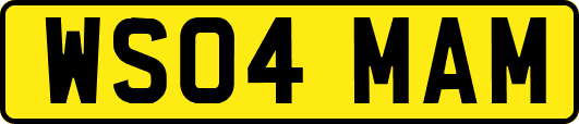 WS04MAM