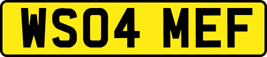 WS04MEF