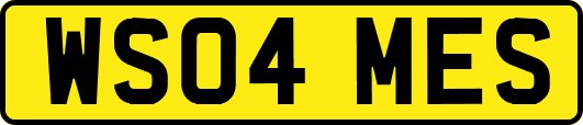 WS04MES