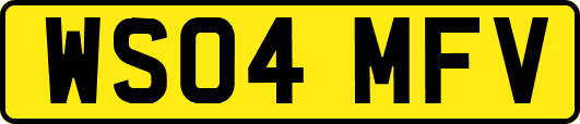 WS04MFV