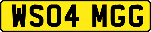 WS04MGG