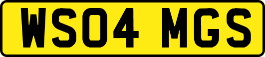 WS04MGS