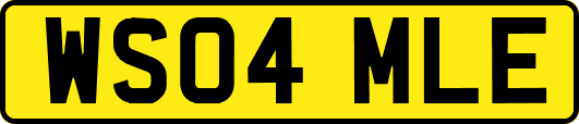 WS04MLE