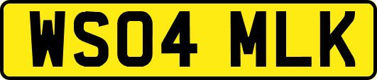 WS04MLK