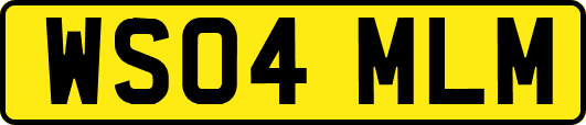 WS04MLM