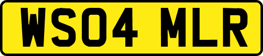 WS04MLR