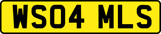 WS04MLS