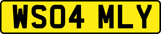 WS04MLY