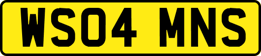WS04MNS