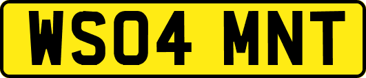 WS04MNT