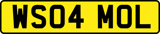 WS04MOL