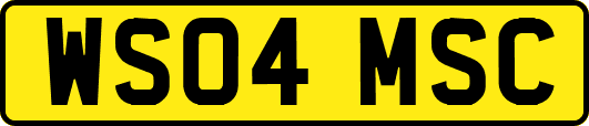 WS04MSC