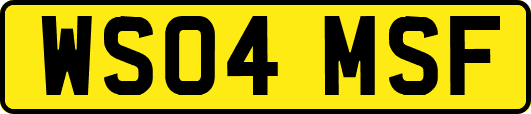 WS04MSF
