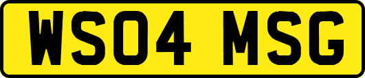 WS04MSG