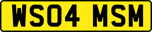 WS04MSM