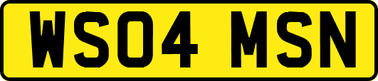 WS04MSN