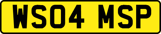 WS04MSP