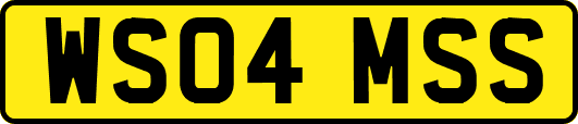 WS04MSS