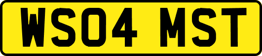 WS04MST