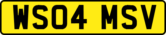 WS04MSV