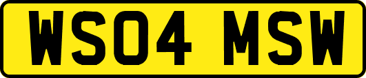 WS04MSW