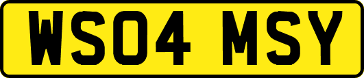 WS04MSY