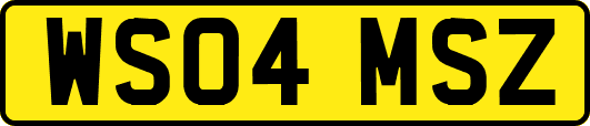 WS04MSZ