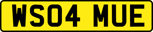 WS04MUE
