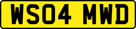 WS04MWD