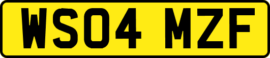 WS04MZF