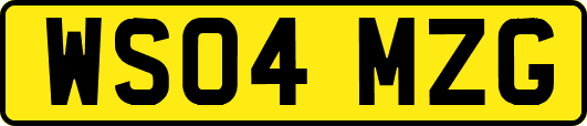 WS04MZG
