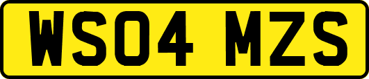 WS04MZS