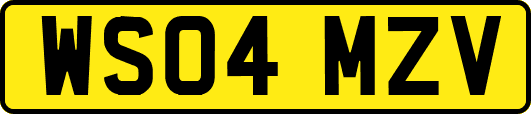 WS04MZV