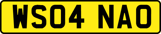 WS04NAO