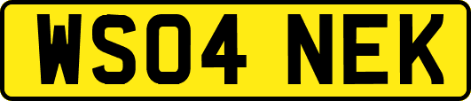 WS04NEK