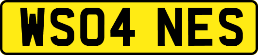 WS04NES