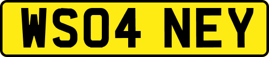WS04NEY