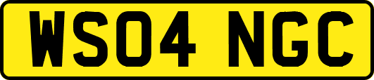 WS04NGC