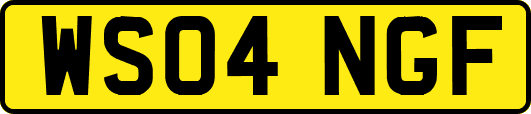 WS04NGF