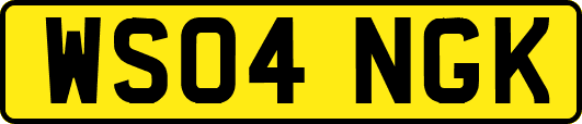 WS04NGK