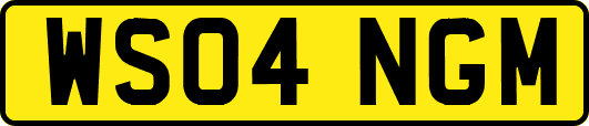 WS04NGM