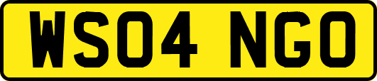 WS04NGO