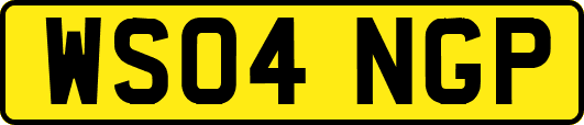 WS04NGP
