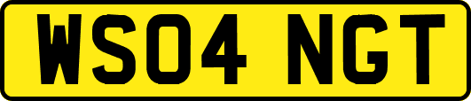 WS04NGT